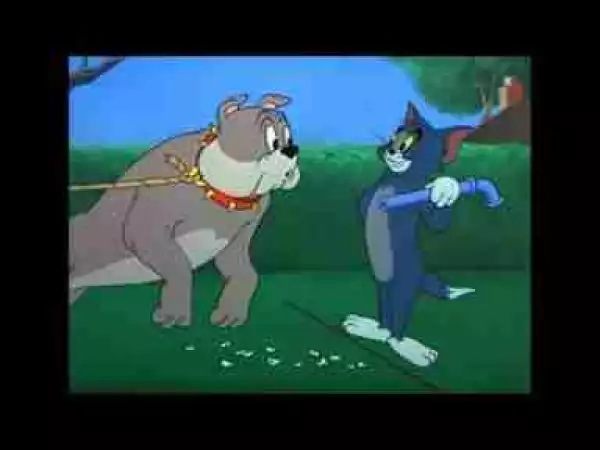 Video: Tom and Jerry, 69 Episode - Fit to Be Tied (1952)